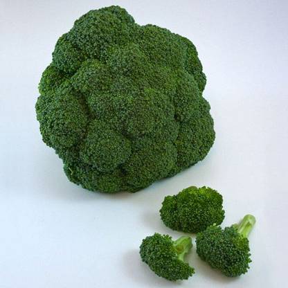 Sjeme Lieutenant broccoli seed Seed