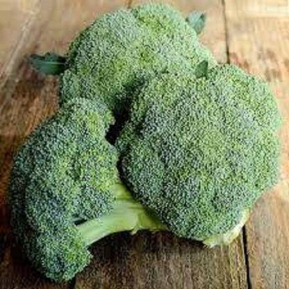 Sjeme Emerald Crown broccoli seed Seed