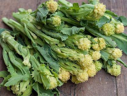 Sjeme White Sprouting broccoli seed Seed