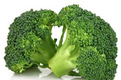 Sjeme Tahoe RZ broccoli seed Seed
