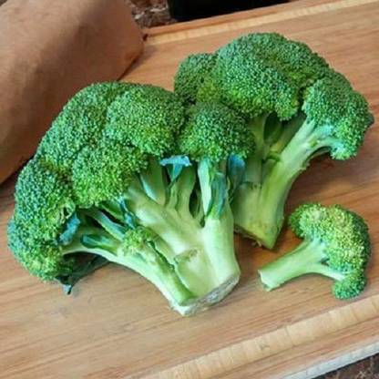 Sjeme Gypsy broccoli seed Seed