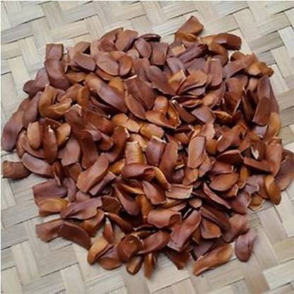 LYRS Swietenia Mahogany Seed Seed