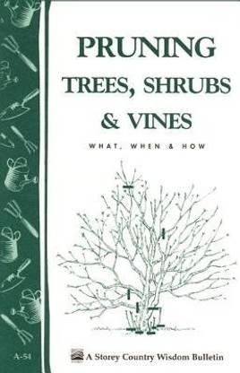 Pruning Trees, Shrubs & Vines