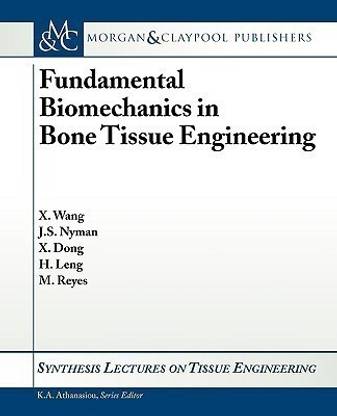 Fundamental Biomechanics in Bone Tissue Engineering