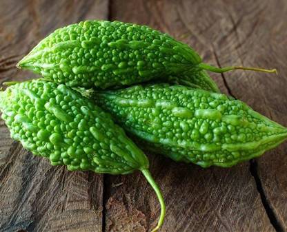 XOLDA BitterGourd/Karela F84 Seed