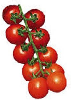 Sjeme Sweet 100 tomato seeds Seed