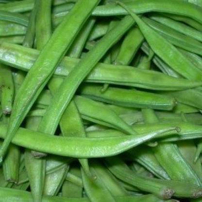 PLANTZON Cluster Beans Seed