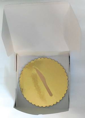 BRIGHTAIL INFRA CAKE BOX COMBO Paper Cake Server