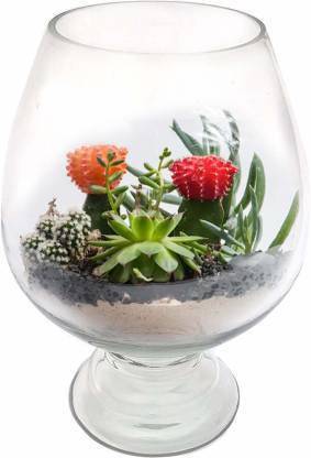 SAVORADE Fish Bowl Round Ends Aquarium Tank