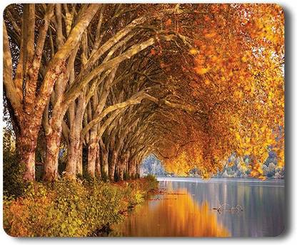 Yellow Alley Autumn Trees Rubber Base Matte Finish Soft Rectangular Mouse Pad|Friendly for all types of mouse|Ployster Coating Rubber Mouse Pad|Anti-Slippery Mouse Pads for Desktop & Laptop Computers Non Slip Base Mousepad