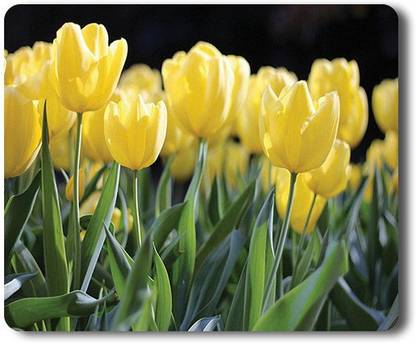 Go Green Tale Nature Yellow Tulip Flowers Mouse Pad for PC/Laptop|Rubber Base Matte Finish Soft Dust Free Rectangular Mouse Pad with Ployster Coating|Friendly for all types of Mouse Non Slip Base Mousepad