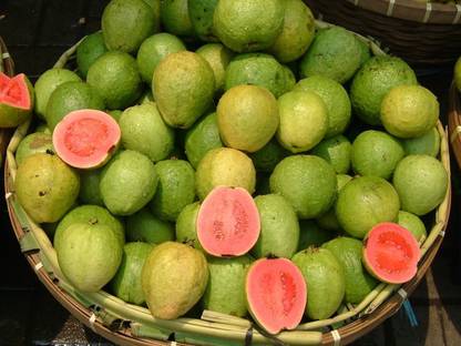 Royal Paradise Garden Rare Hybrid Guava " Lalit " Exotic 40 Seed