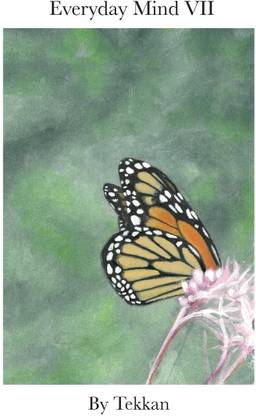 Everyday Mind VII