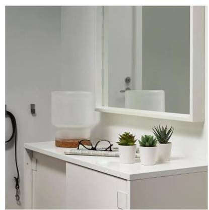 IKEA Artificial Plant  with Pot