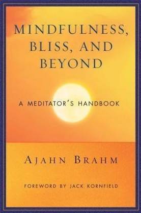 Mindfulness Bliss and Beyond
