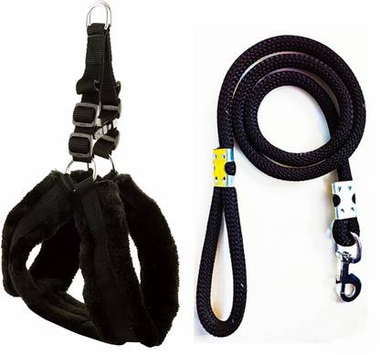 cavaly Dog Harness & Leash