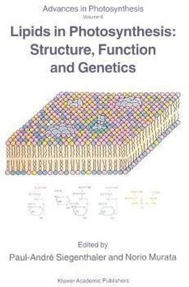 Lipids in Photosynthesis: Structure, Function and Genetics