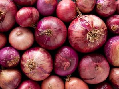 Paudha Onion Seed