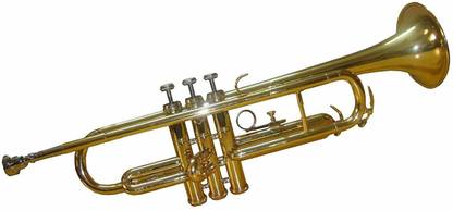 new jaibharat musicals trumpet gold Bass Trumpet
