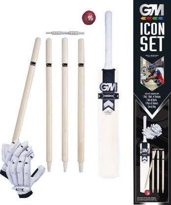 GM ICON Cricket Kit