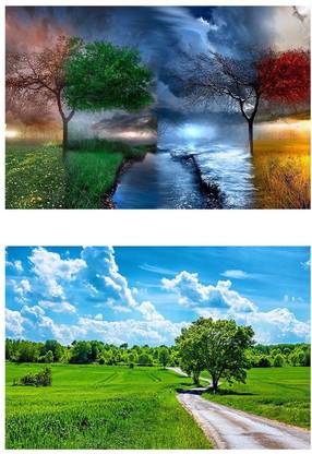 Greenery Field View and Seasons in One Wall Sticker Poster Combos Paper Print