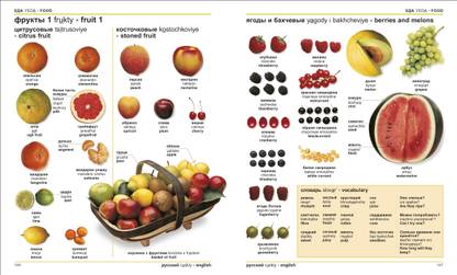 Russian-English Bilingual Visual Dictionary with Free Audio App
