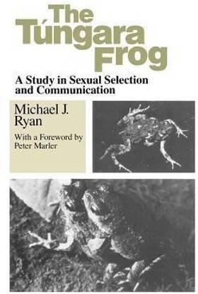 Tungara Frog