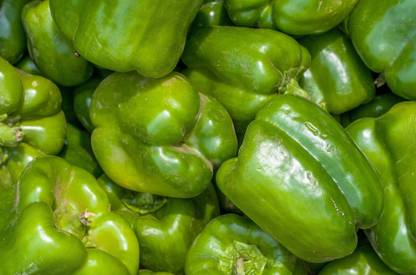 Countgreen Plus Capsicum (Simla Mirch/Pahadi Mirch) Seed