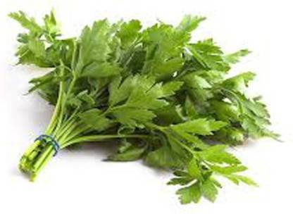 xcentax BATHUA LEAVES, Parsley Italian (Flat Leaf) Seed