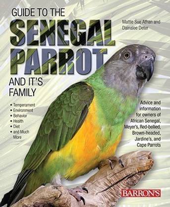 Guide to the Senegal Parrot and it's Family