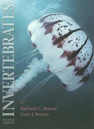 Invertebrates