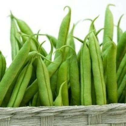 Kofy Dolicos Seed