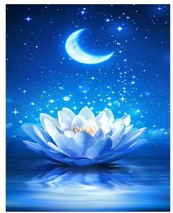 PigPigBoss Moon Lotus Diamond Painting Dots-5D Full Drill Diy Diamond Painting Kit-Crystalmoon Louts Flower Diamond Embr