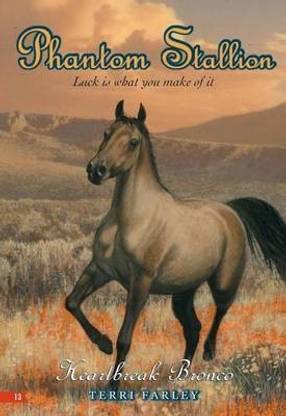 Phantom Stallion #13: Heartbreak Bronco