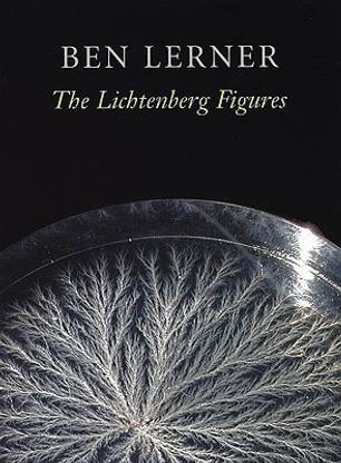 The Lichtenberg Figures
