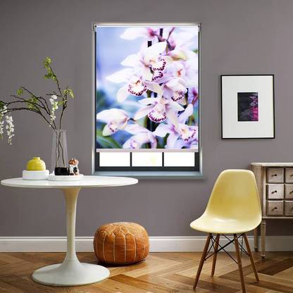 Custo-Interio Roller Blind Cord Drawn On Window