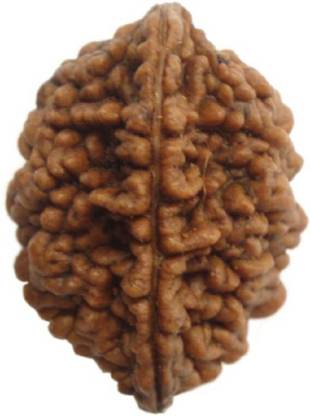 Jaipur Gemstone Beads Wood