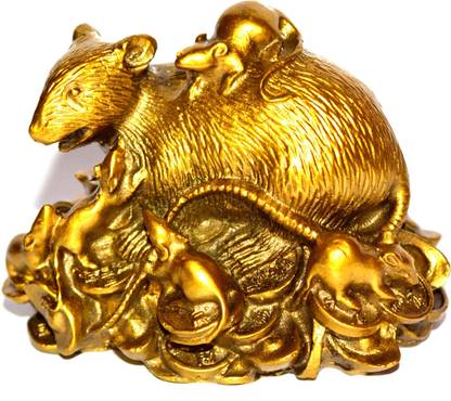 ONRR Collections FengShui Rat Coin-Mongoose for Good Health, Wealth & Prosperity & evil protection Decorative Showpiece  -  10 cm