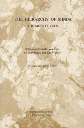 The Hierarchy of Minds