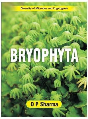 Bryophyta