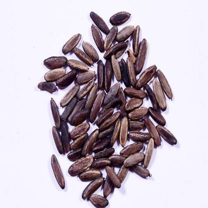 48 Degrees Gulmohar Seeds 100 Gms Seed