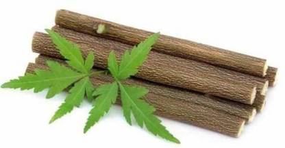 Red Champion Organic Neem Sticks Datun Twig ToothBrush Nim Tree Twigs Chew Sticks – 20 Pieces Hard Toothbrush