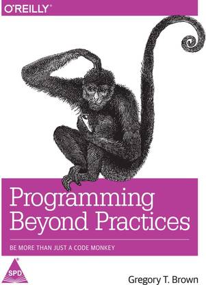 Programming Beyond Practices  - Be More Than Just a Code Monkey