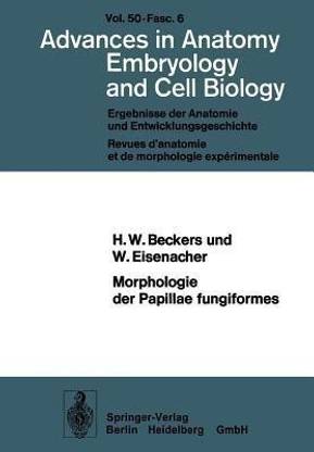 Morphologie der Papillae fungiformes
