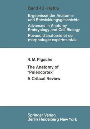 The Anatomy of "Paleocortex"