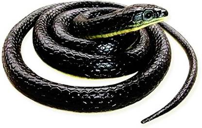 सेहगल Fake Snake/Prank Realistic Fake Rubber Snake Prank Toy फेक स्नेक प्रैंक टॉय गैग टॉय