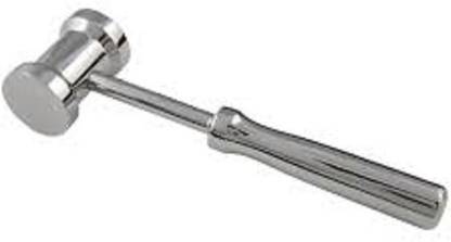 RSSW Post Mortem Hammer Stainless Steel Dead Blow Hammer