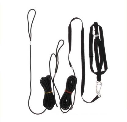Taiyo Pluss Discovery Bird Leash/Adjustable/Soft Anti-Bite Harness Leash/Suitable for Large Birds Macaw, African Grey, Amazon, Bird 8m Leash (Black) 800 cm Bird Strap Leash