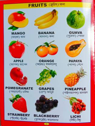 Fruits Flowers And Vegetables English - Bengali Word Book