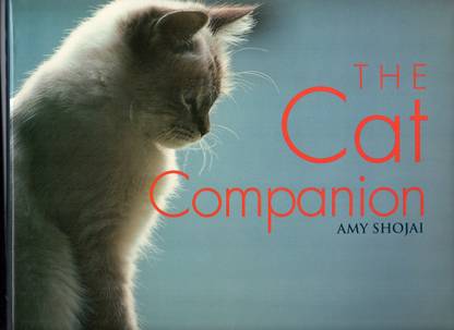The Cat Companion
